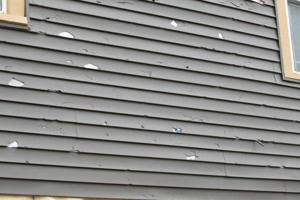 Best Storm Damage Siding Repair  in Plentywood, MT